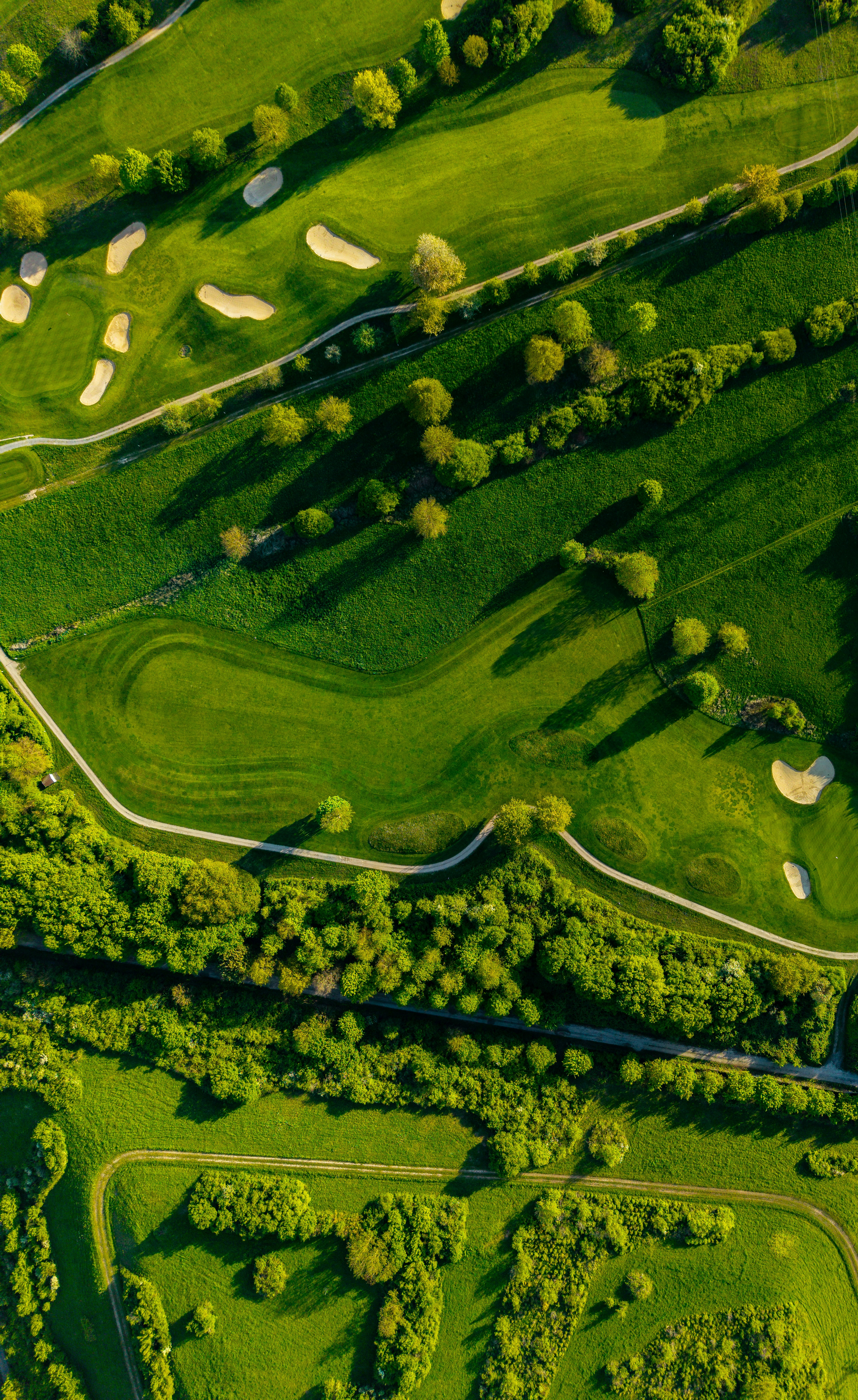 The Caddie Co. preview